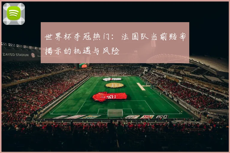 世界杯夺冠热门:法国队当前赔率揭示的机遇与风险
