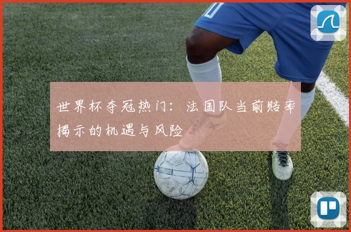世界杯夺冠热门:法国队当前赔率揭示的机遇与风险