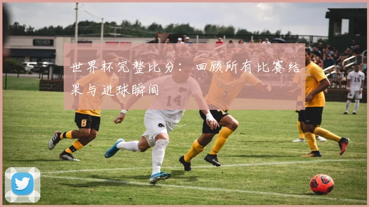 世界杯完整比分：回顾所有比赛结果与进球瞬间